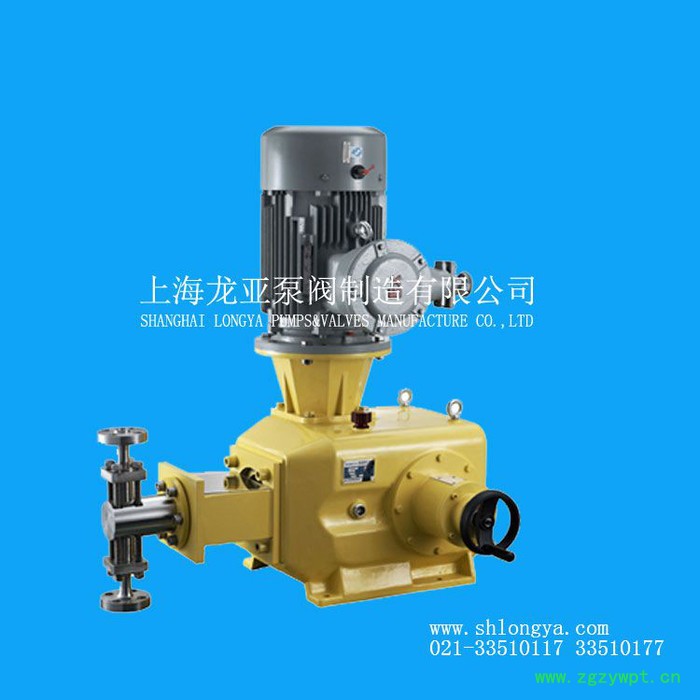 定量加药设备, GM0330硝酸定量泵，一体化加药装置图3