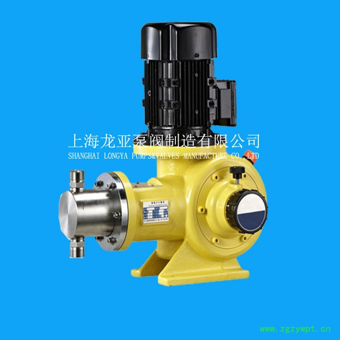 供应自动加药装置/DFD系列龙亚计量泵图5