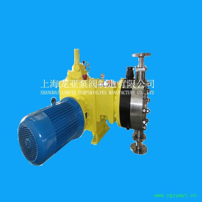 供应联胺除氯成套加药装置 加药系统 加药泵图4