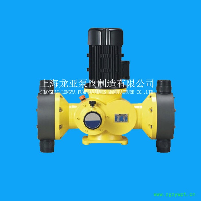 加药计量泵、加药装置、加药设备、多年生产经验图3