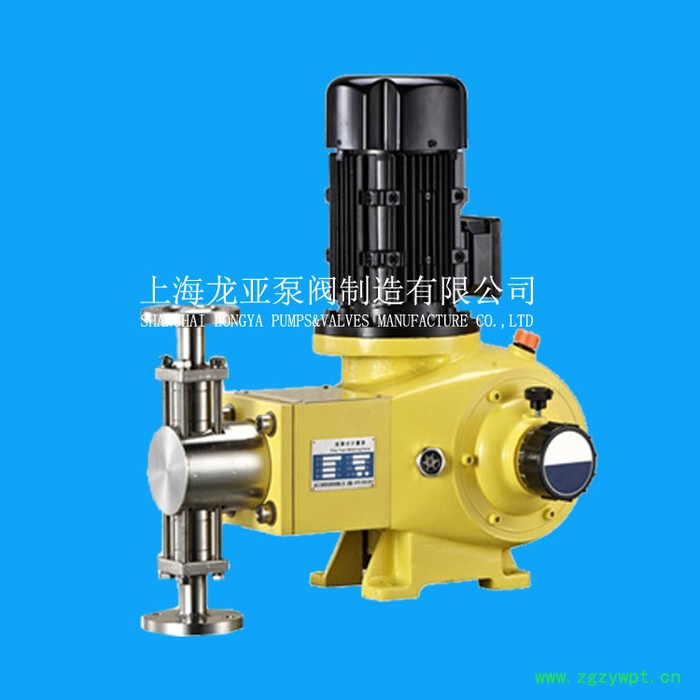 供应柱塞加药设备，加药装置，一体化设备计量泵