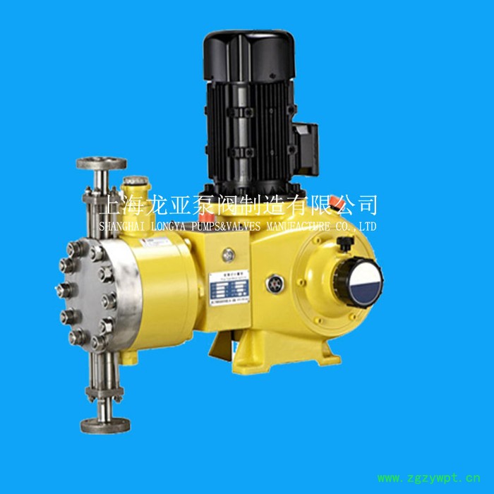 诚招高压计量泵、自动加药装置、加氯机区域代理图4