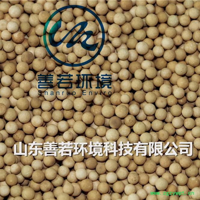 善若环境 芬顿填料 污水处理专用芬顿催化剂 化工污水用芬顿催化剂 诚信商家 **推荐图2