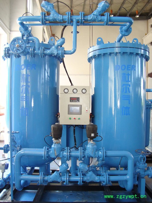 供应DOER-100  PSA制氮机