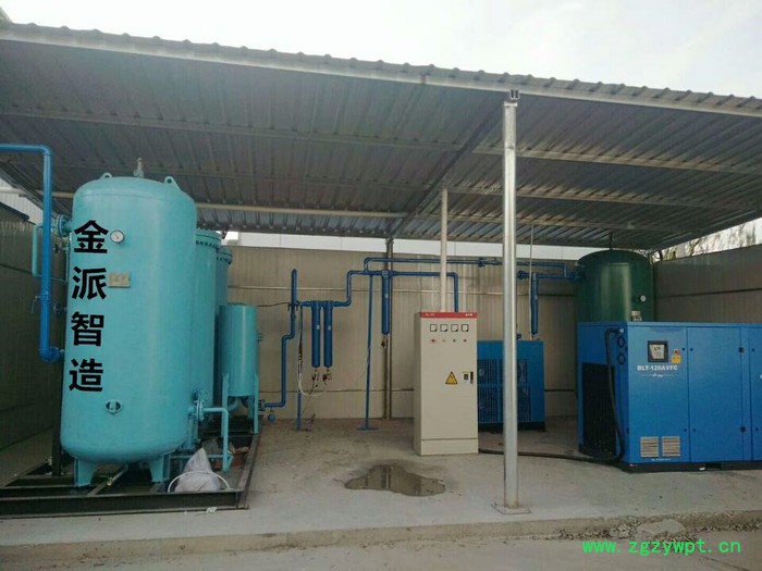 供应金派牌JP/FD-30化工PSA制氮机,氮气图3