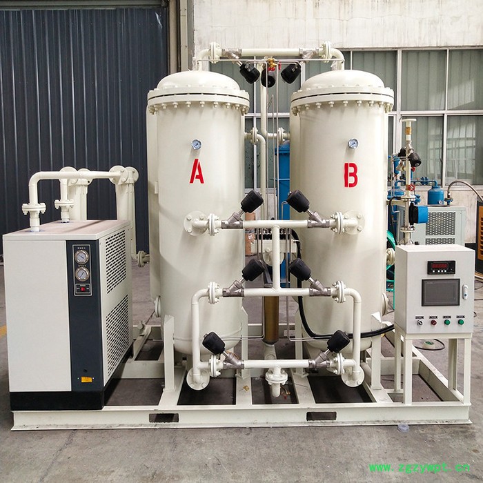 浙江制氮设备_氮气机_煤矿制氮机_小型制氮机_制氮机的工作原理_制氮机生产厂家_变压吸附制氮装置图2