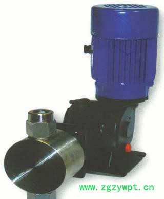 加药计量泵、加药装置、加药设备、多年生产经验图2