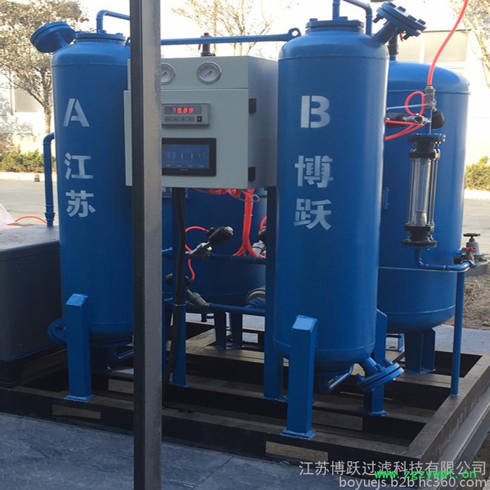 江苏博跃BYFD-99.99-50 供应PSA制氮机 制氮机厂家 气体净化设备 气体配件 变压吸附制氮图2