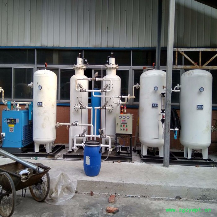 佛山制氮机 ** 食品保鲜专用制氮机广东食品行业氮气发生器图3