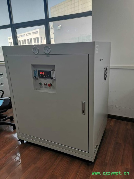 PSA制氮机20L江浙沪厂家拿货价 AYAN-20LB价格图5