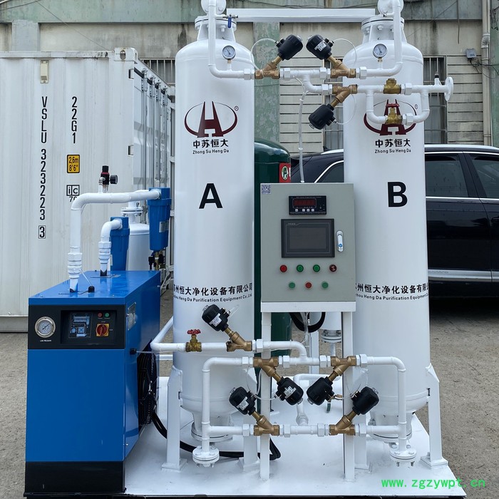 苏州恒大HDFD99.9-10小型制氮机 氮气发生器 工业制氮 分子筛变压吸附 空分设备 大型氮气机 防爆型工业制氮设备