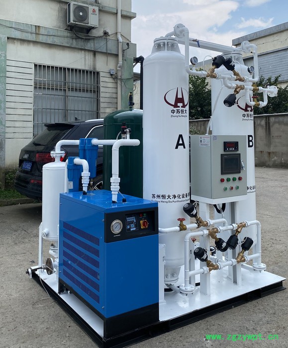 苏州恒大HDFD99.9-10小型制氮机 氮气发生器 工业制氮 分子筛变压吸附 空分设备 大型氮气机 防爆型工业制氮设备图2