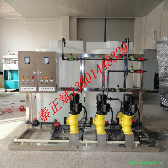 科力方KLJY水杀菌消毒加药设备 缓蚀阻垢剂加药装置图2