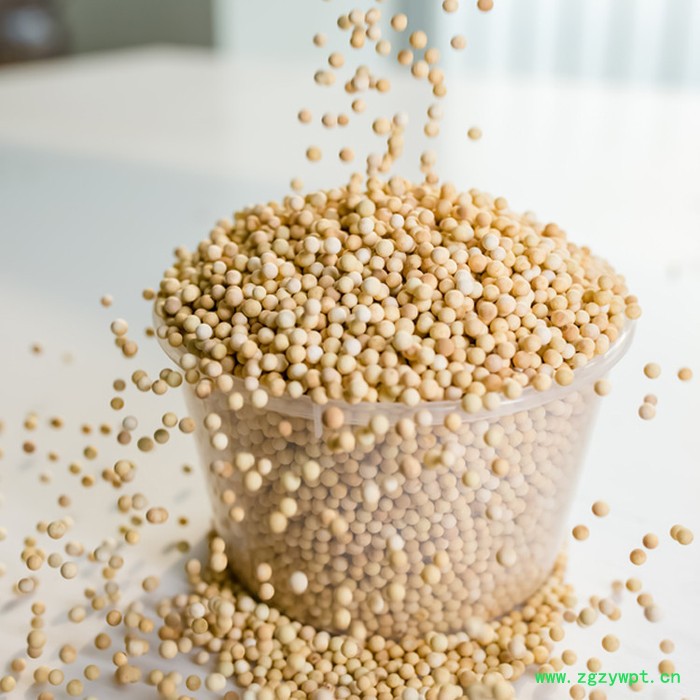 龙安泰 芬顿催化剂 芬顿填料 芬顿催化氧化 芬顿反应 均相芬顿图3