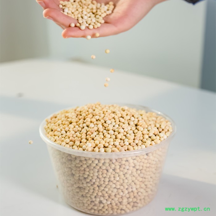 龙安泰 芬顿催化剂 芬顿填料 芬顿催化氧化 芬顿反应 均相芬顿图2