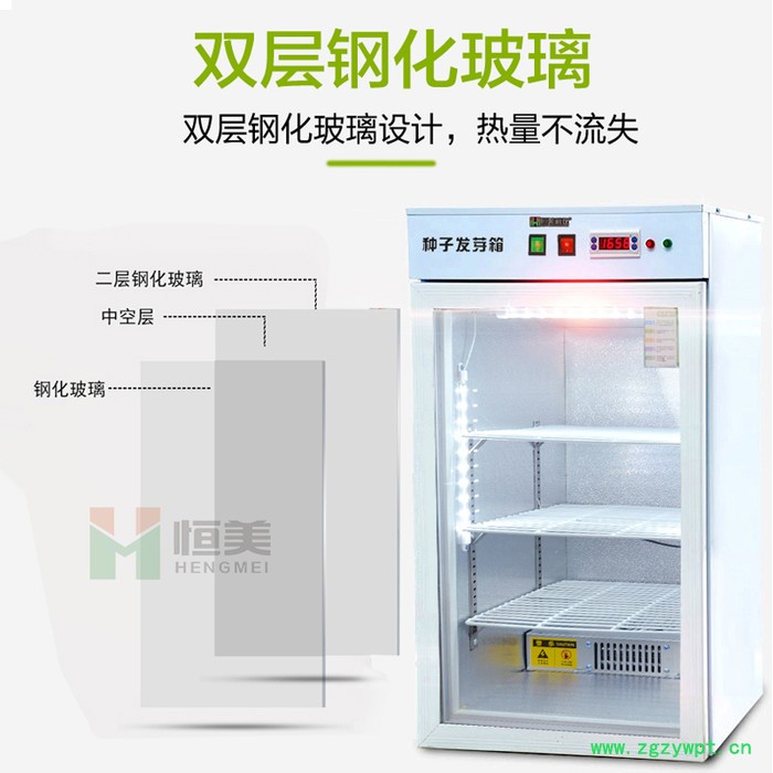 恒美HM-100种子发芽箱恒温培养箱图4