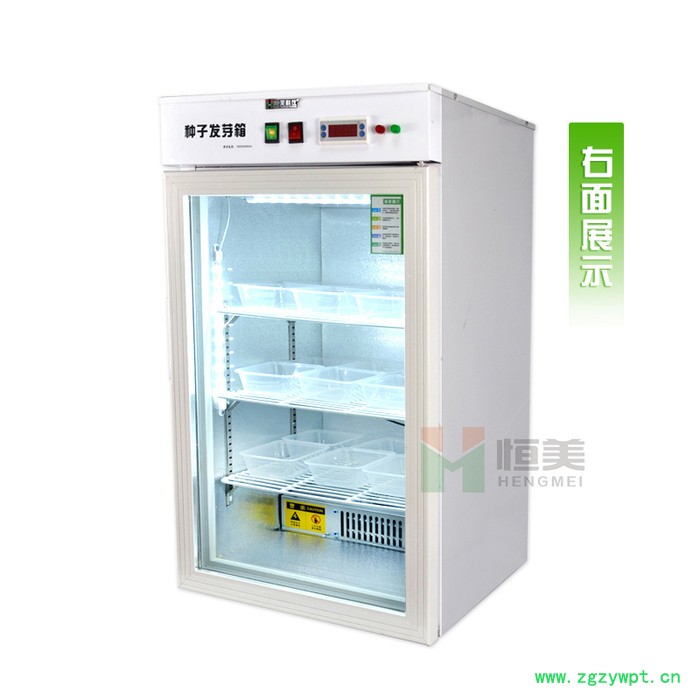 恒美HM-100种子发芽箱恒温培养箱图5