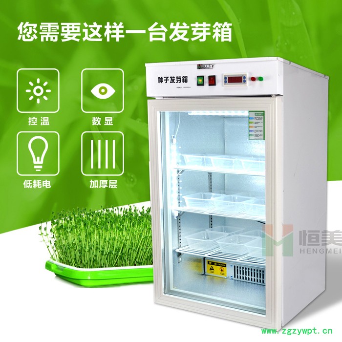 恒美HM-100种子发芽箱恒温培养箱图2