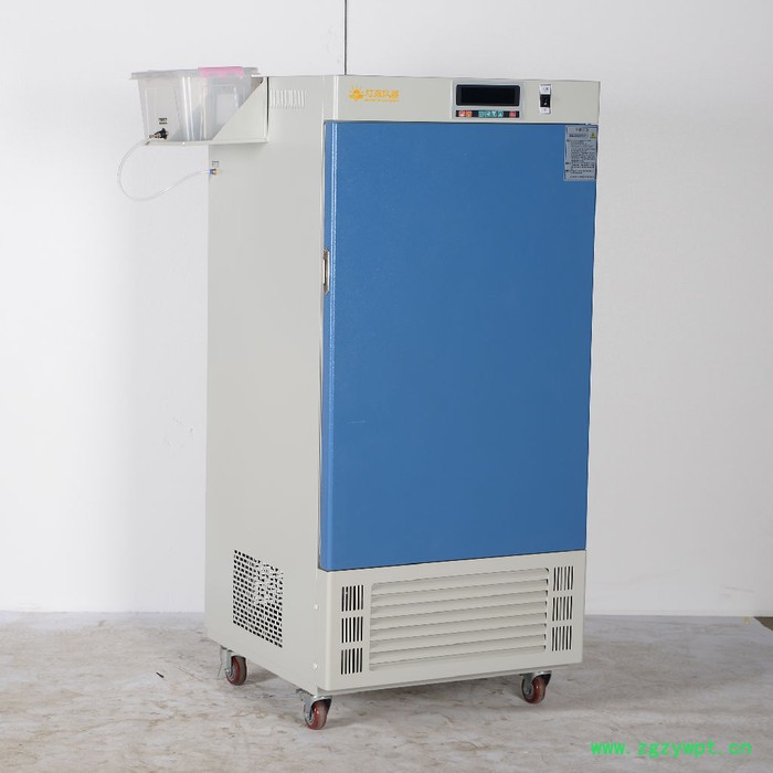 恒温恒湿培养箱LHS-100HC上海厂家现货直销 非标定制定做 恒温培养箱 培养箱设备图3