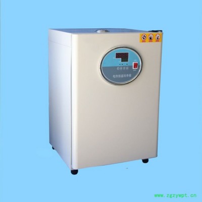 DH系列恒温型培养箱 电热恒温培养箱DH-360 恒温试验、环境试验