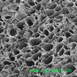 佳都ΦH2-1.5mm煤质柱状改性活性炭 碳催化剂 车用空调滤芯滤材 除异味除甲醛 煤质活性炭图6