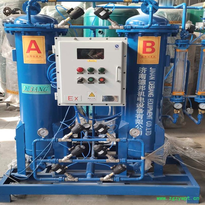 德邦DBPN-49 PSA制氮机 高纯度99.99纯度制氮装置 定制制氮机**图2