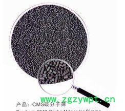 进口日本岩谷碳分子筛 武田**碳分子筛 制氮机专用碳分子筛图2