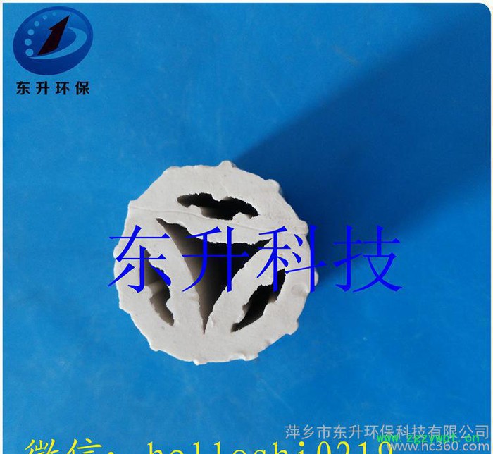 扁环瓷柱**填料、催化剂支撑剂保护剂、现货图3