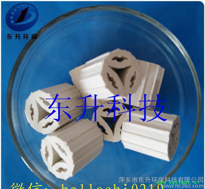 扁环瓷柱**填料、催化剂支撑剂保护剂、现货