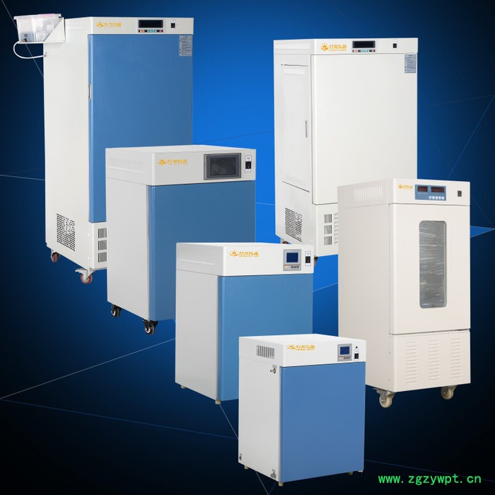 电热恒温培养箱DHP-9272 实验室设备 上海厂家 可非标定制定做 智能恒温 微生物 细胞 细菌培养箱图3