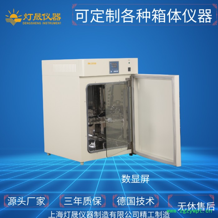 电热恒温培养箱DHP-9082P 实验室设备 上海厂家 可非标定制定做 智能恒温 微生物 细胞 细菌培养箱图2