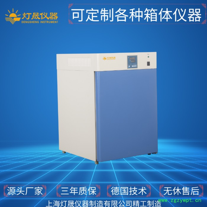 电热恒温培养箱DHP-9082P 实验室设备 上海厂家 可非标定制定做 智能恒温 微生物 细胞 细菌培养箱图4