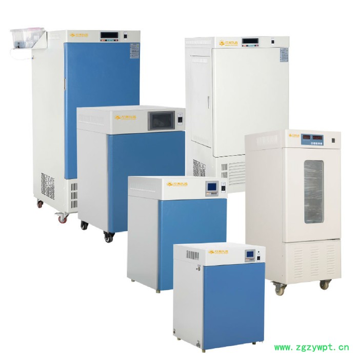 恒温恒湿培养箱LHS-1000CC 上海厂家现货直销 非标定制定做 恒温培养箱 培养箱设备图2