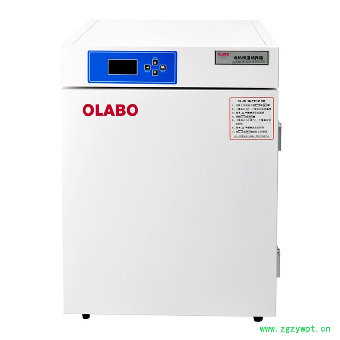 欧莱博 DHP-9054B 培养箱电热低实验室生化霉菌 恒湿细菌微生物恒温箱 电热恒温培养箱 电热恒温培养箱图5