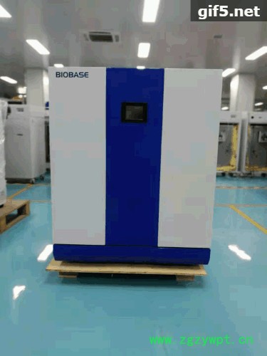 BIOBASE博科电热恒温培养箱医用实验室细菌培养干燥箱育种发酵高温烘干机