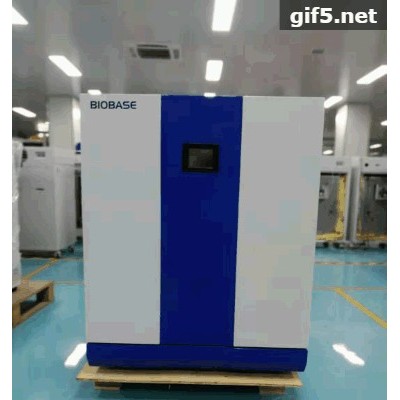BIOBASE博科电热恒温培养箱医用实验室细菌培养干燥箱育种发酵高温烘干机