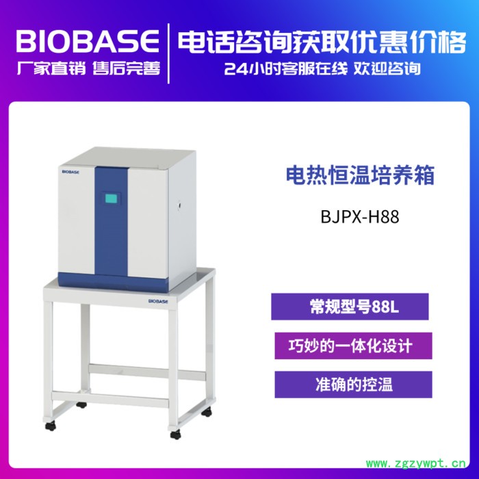 BIOBASE 博科 BJPX-H系列常规型号电热恒温培养箱BJPX-H88 实验室灭活仪 细胞储存图2