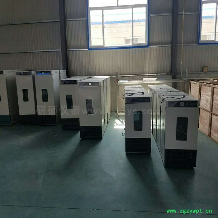 【研硕仪器】YS 全自动恒温恒湿培养箱，实验测试仪器，电热恒温培养箱图3