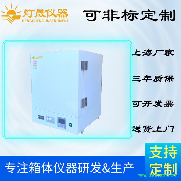 灯晟仪器DS-37高温烘箱厂家 高温烘箱定制 上海高温干燥箱非标定制图4