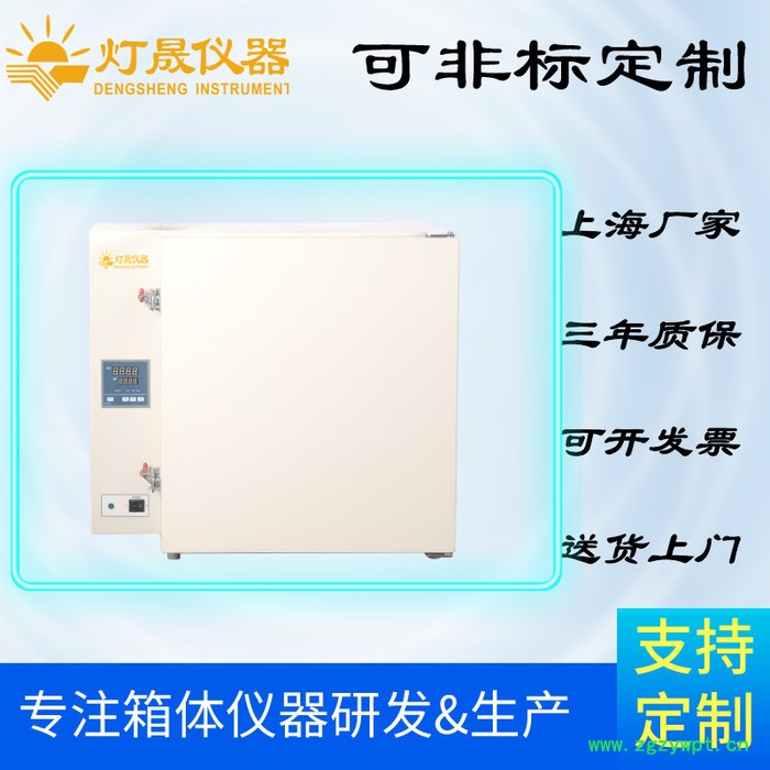 灯晟仪器DS-37高温烘箱厂家 高温烘箱定制 上海高温干燥箱非标定制图2