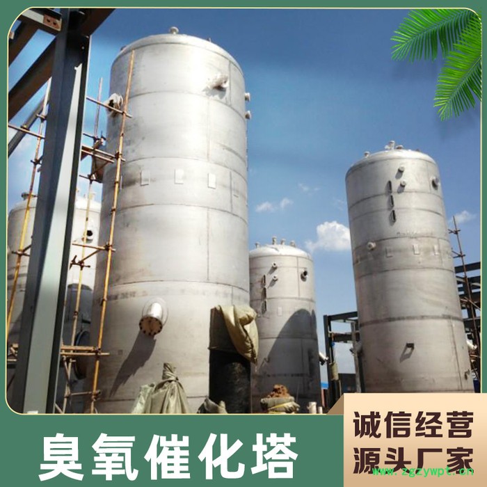 森洋臭氧催化塔  臭氧催化氧化塔  臭氧反应器 臭氧催化氧化装置  臭氧催化氧化反应器   臭氧反应器图3