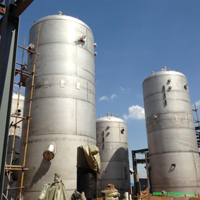 森洋臭氧催化塔  臭氧催化氧化塔  臭氧反应器 臭氧催化氧化装置  臭氧催化氧化反应器   臭氧反应器图2