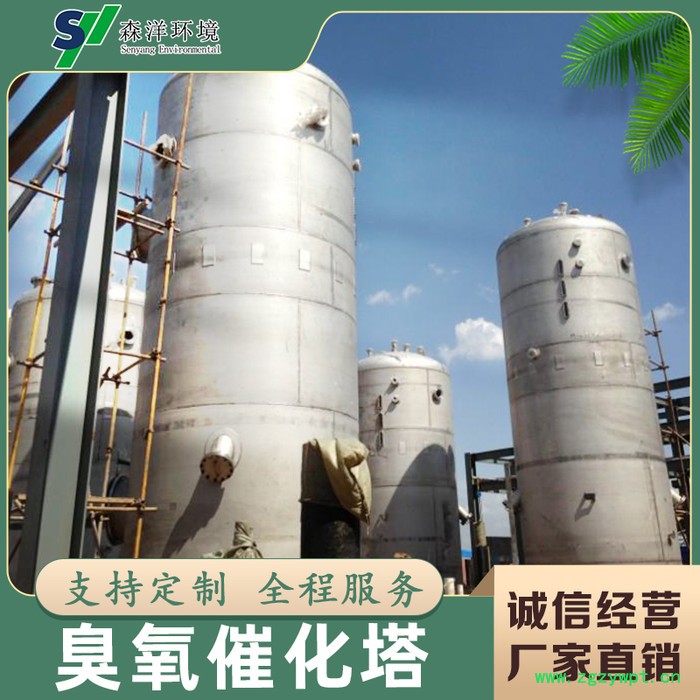 森洋臭氧催化塔  臭氧催化氧化塔  臭氧反应器 臭氧催化氧化装置  臭氧催化氧化反应器   臭氧反应器图5