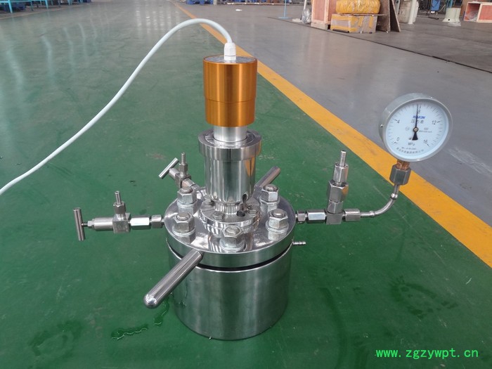 供应北京 新元 微型反应器 微型反应釜 反应釜XYHJ-914图6