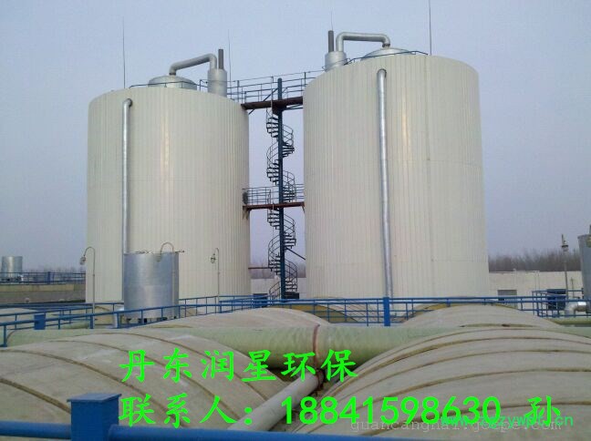 润星 IC反应器图3