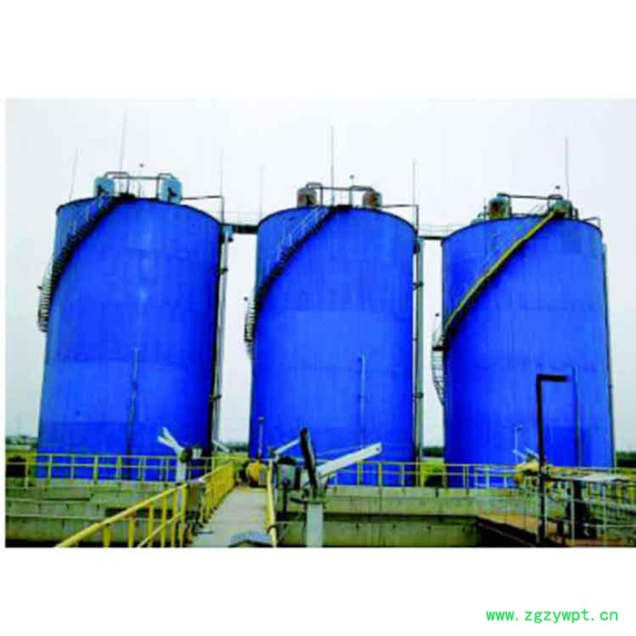 高效厌氧反应器      高效厌氧反应   高效厌氧反应器**图3