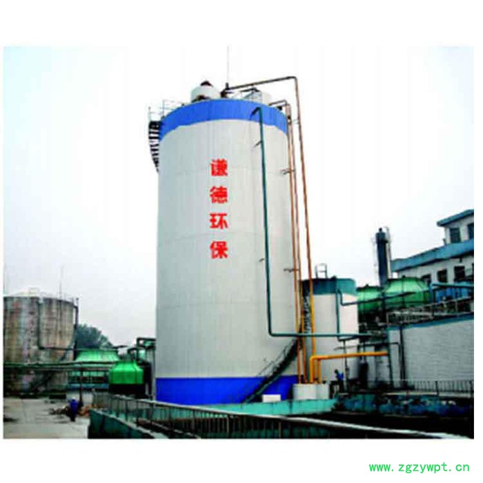 高效厌氧反应器      高效厌氧反应   高效厌氧反应器**图2