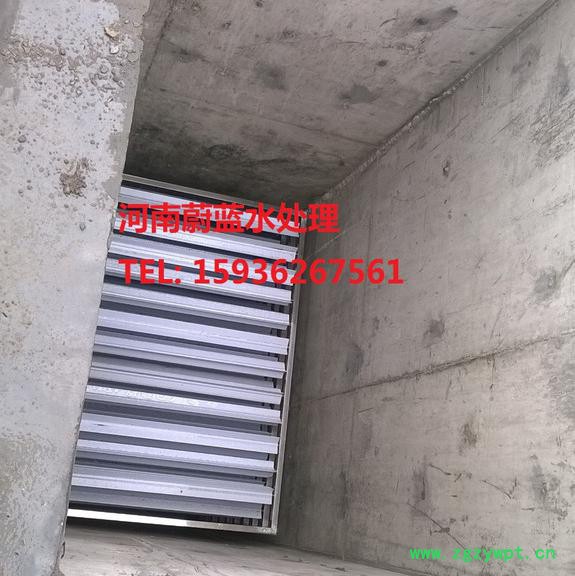 涡街反应器 集成式涡街反应器 微涡自旋絮凝设备图3