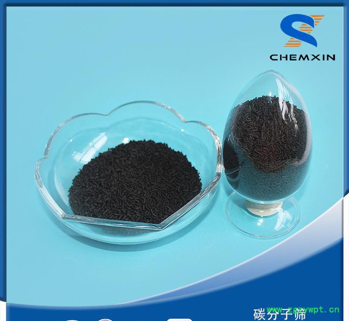 CMS-180 CMS-200 CMS-220 CMS-240 CMS-260碳分子筛PSA制氮机专用图2