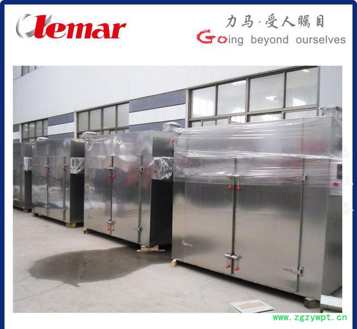 常州力马-药用GMP热风循环烘箱 、 双扉热风循环烘箱图5